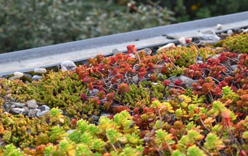 the cost of Bedford Park green roof installation