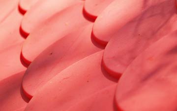 Bedford Park plastic roof costs