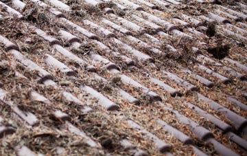 Bedford Park roof cleaning companies