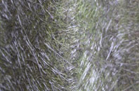 Bedford Park fibreglass roof work